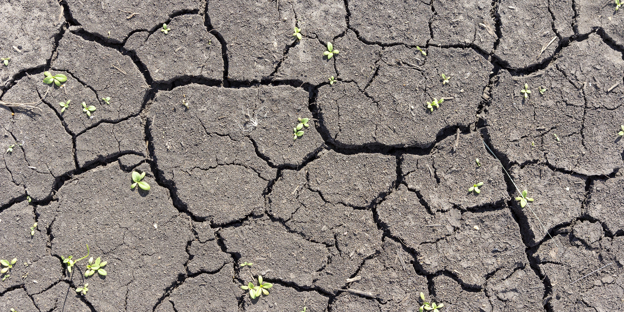 Fissures dues au retrait et gonflement des argiles