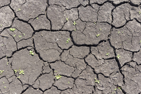Fissures dues au retrait et gonflement des argiles