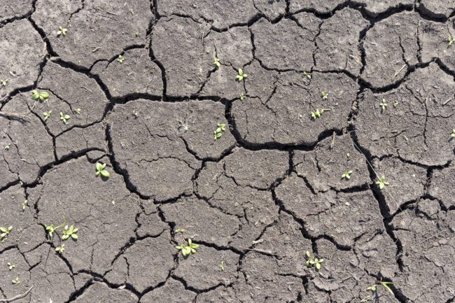 Fissures dues au retrait et gonflement des argiles