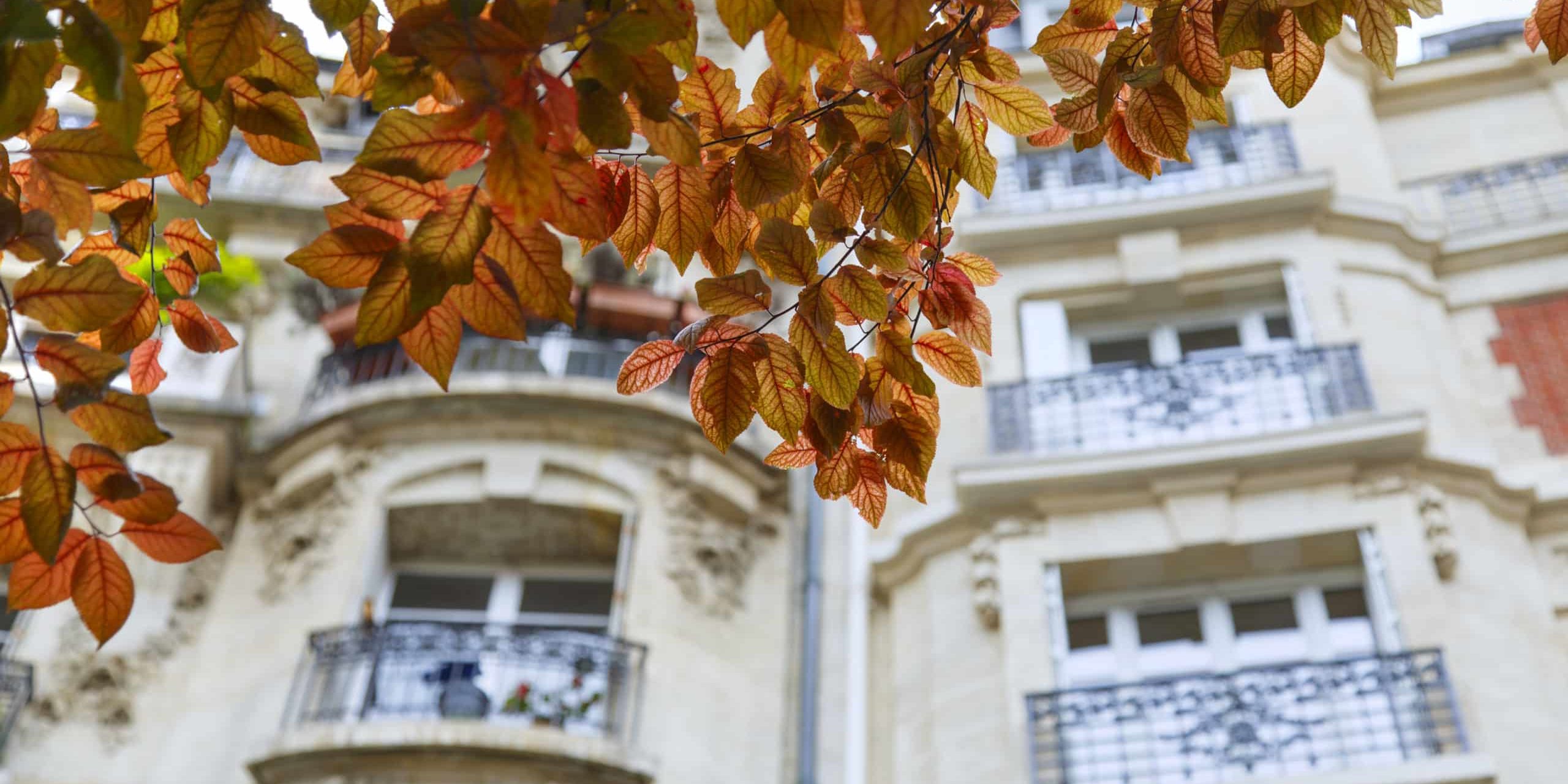 L’annexion de parties communes